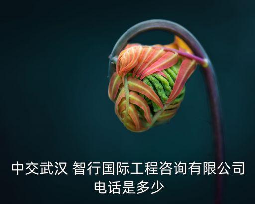 智行電話,浩睿智行電話
