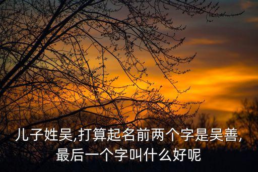 吳善良