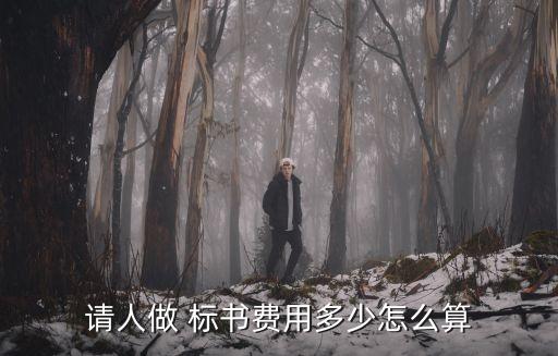 請人做 標(biāo)書費用多少怎么算