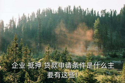 企業(yè)抵押貸款,小微企業(yè)抵押貸款