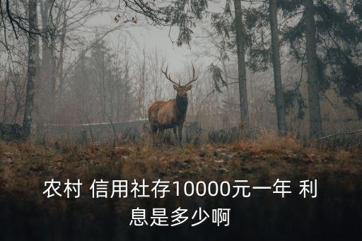 農(nóng)村 信用社存10000元一年 利息是多少啊
