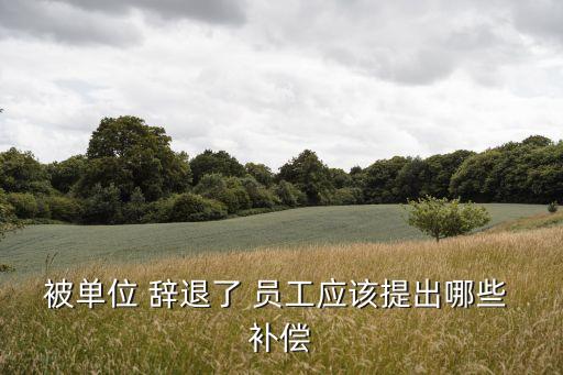 被單位 辭退了 員工應(yīng)該提出哪些 補(bǔ)償