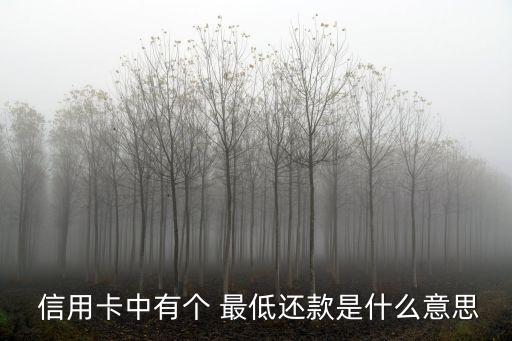  信用卡中有個(gè) 最低還款是什么意思