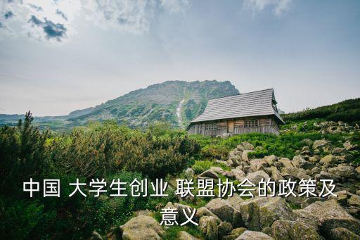 中國(guó) 大學(xué)生創(chuàng)業(yè) 聯(lián)盟協(xié)會(huì)的政策及意義