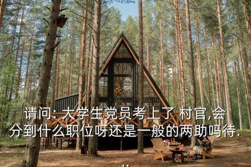 請問: 大學生黨員考上了 村官,會分到什么職位呀還是一般的兩助嗎待...