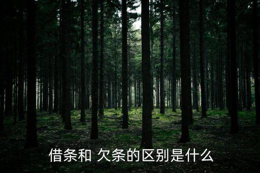  借條和 欠條的區(qū)別是什么