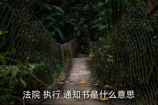 法院 執(zhí)行 通知書是什么意思