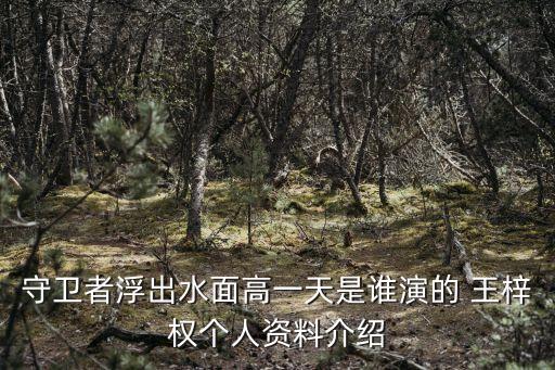 王梓權(quán)