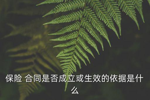 保險(xiǎn) 合同是否成立或生效的依據(jù)是什么