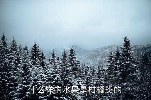 坪山柚