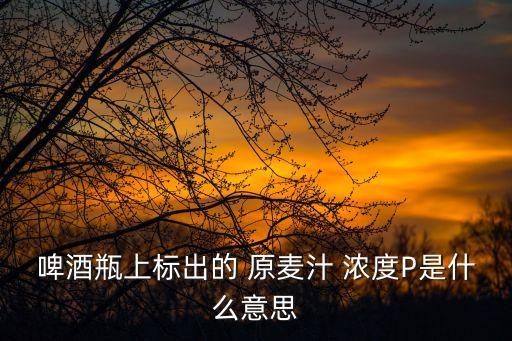 啤酒瓶上標(biāo)出的 原麥汁 濃度P是什么意思