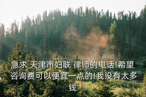 急求 天津市婦聯(lián) 律師的電話!希望 咨詢費可以便宜一點的!我沒有太多錢