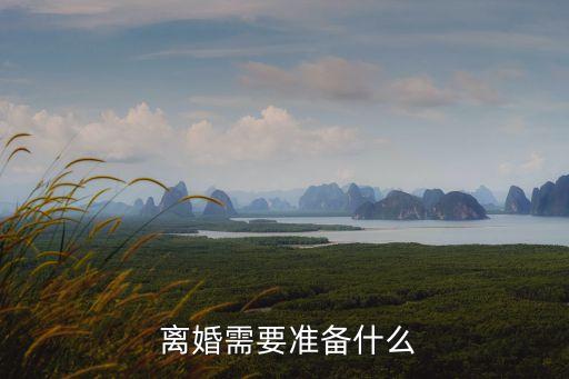 離婚都需要什么,民政局辦理離婚都需要什么東西