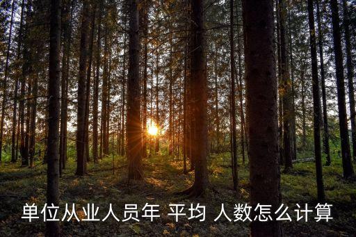 平均人數(shù),2022年度全部職工平均人數(shù)