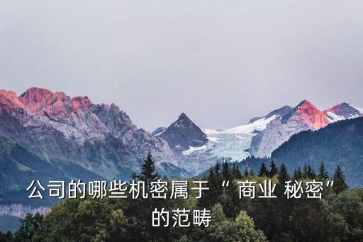 公司的哪些機密屬于“ 商業(yè) 秘密”的范疇