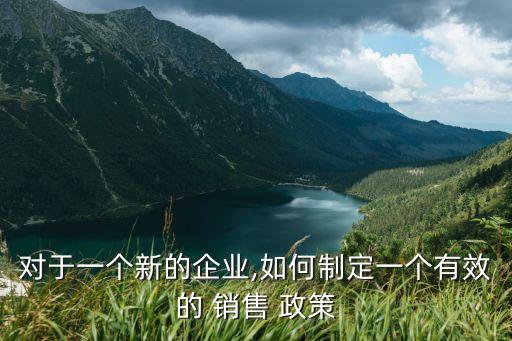 對(duì)于一個(gè)新的企業(yè),如何制定一個(gè)有效的 銷售 政策