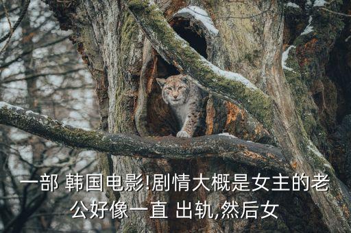 韓國出軌女人,韓國高分愛情電影
