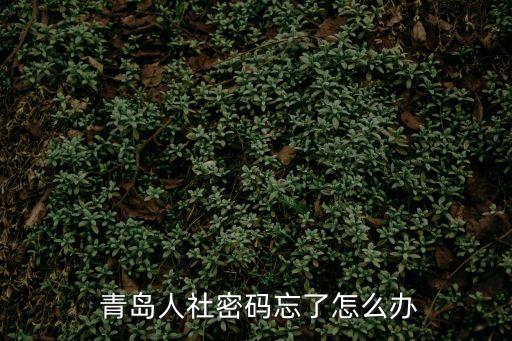  青島人社密碼忘了怎么辦