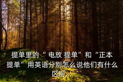  提單里的“ 電放 提單”和“正本 提單”用英語分別怎么說他們有什么區(qū)別...