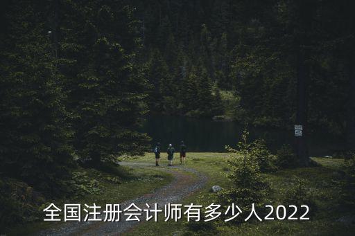 中國注協(xié)