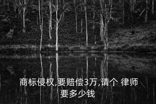  商標(biāo)侵權(quán),要賠償3萬,請個 律師要多少錢