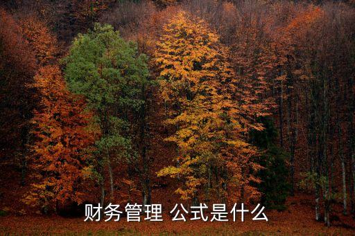 財務(wù)管理 公式是什么