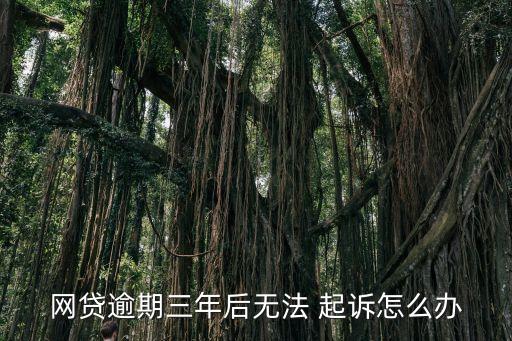 網(wǎng)貸逾期三年后無法 起訴怎么辦