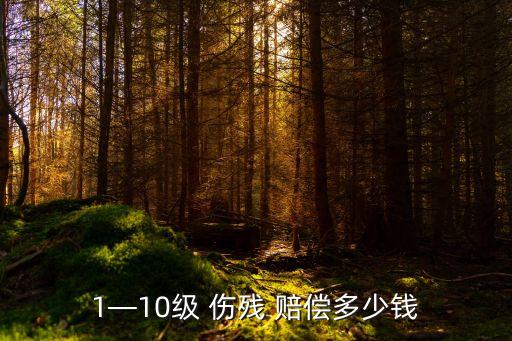 1—10級 傷殘 賠償多少錢