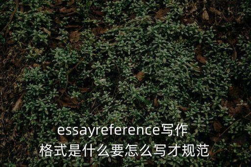 essayreference寫作 格式是什么要怎么寫才規(guī)范