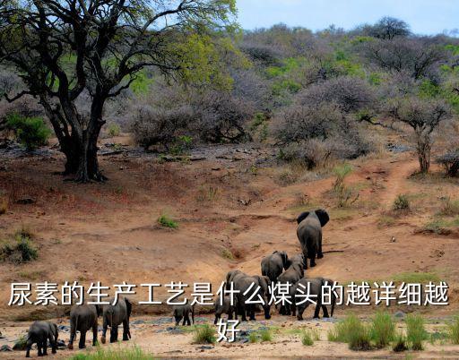 重計量是什么意思,建筑工程重計量是什么意思