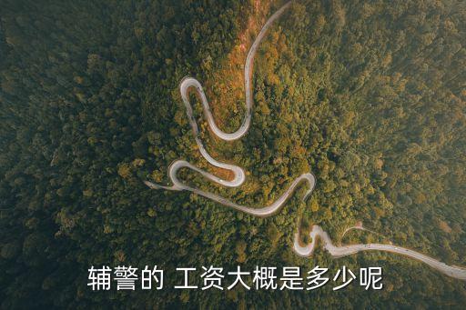 輔警工資多少錢一月,公安局輔警工資多少錢一月