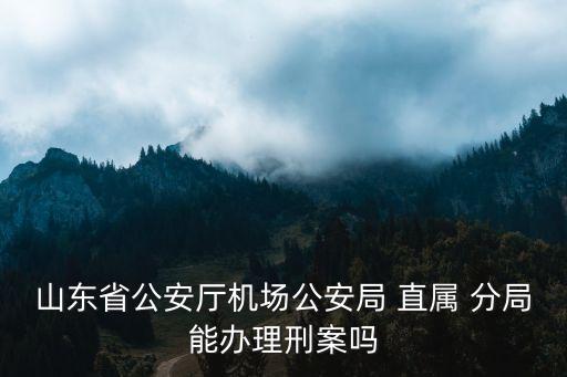 山東省公安廳機場公安局 直屬 分局能辦理刑案嗎