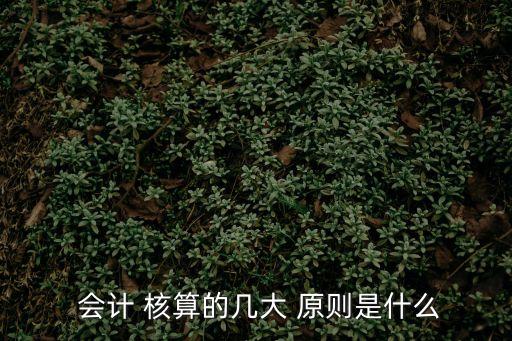  會(huì)計(jì) 核算的幾大 原則是什么