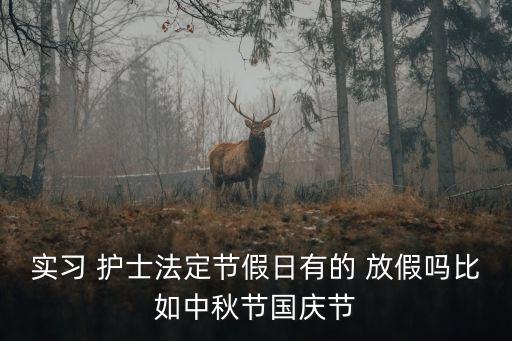 實習 護士法定節(jié)假日有的 放假嗎比如中秋節(jié)國慶節(jié)