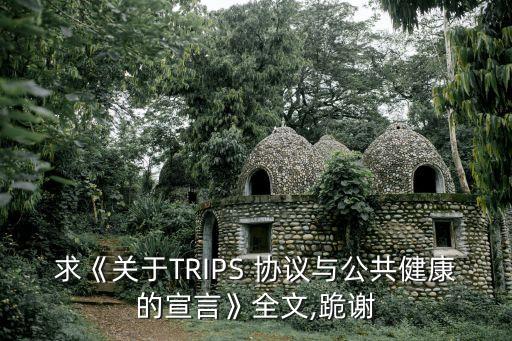 trips協(xié)議,TRIPS協(xié)議的特點