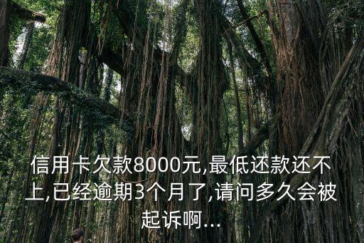 信用卡欠款8000元,最低還款還不上,已經(jīng)逾期3個月了,請問多久會被起訴啊...