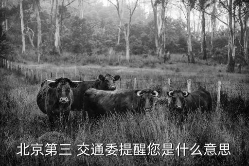 北京第三 交通委提醒您是什么意思