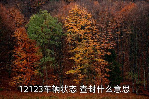 12123車輛狀態(tài) 查封什么意思
