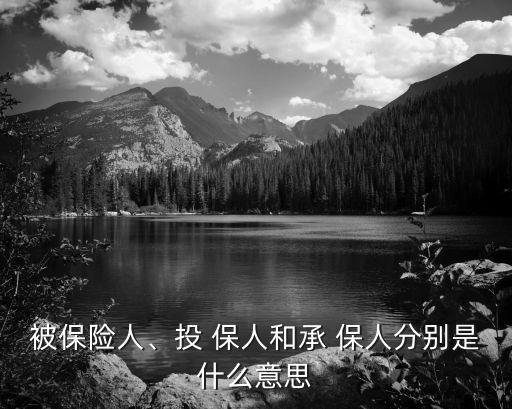 被保險(xiǎn)人、投 保人和承 保人分別是什么意思
