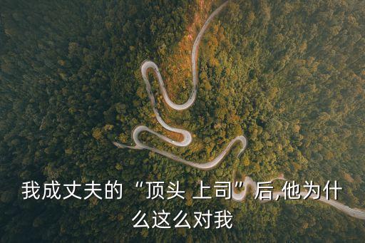 我成丈夫的“頂頭 上司”后,他為什么這么對我