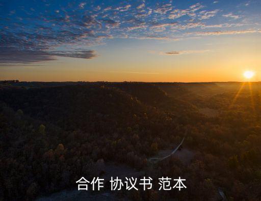  合作 協(xié)議書 范本