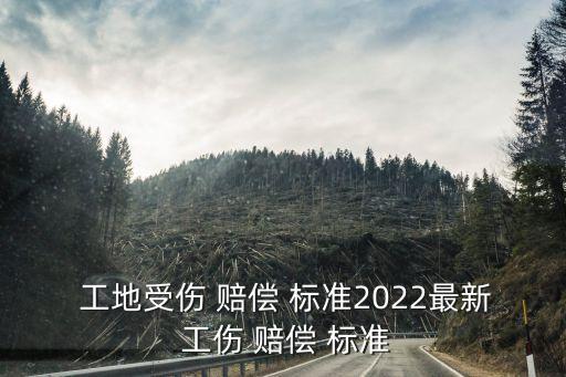  工地受傷 賠償 標(biāo)準(zhǔn)2022最新 工傷 賠償 標(biāo)準(zhǔn)