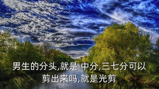 男生的分頭,就是 中分,三七分可以剪出來嗎,就是光剪