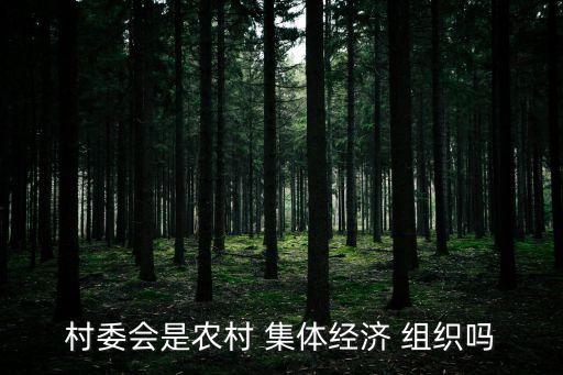 集體經(jīng)濟(jì)組織