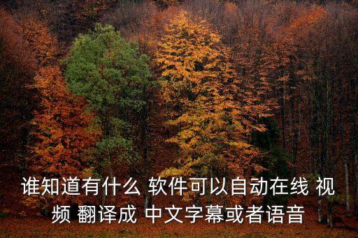 把英語視頻翻譯成中文的軟件,一段英語視頻怎么翻譯中文