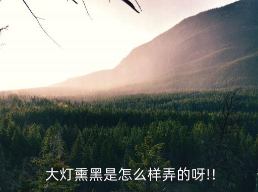  大燈熏黑是怎么樣弄的呀!!