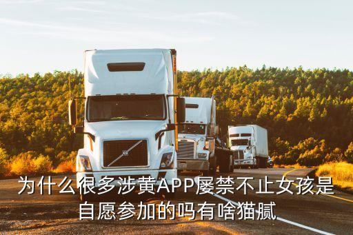 黃色三級錄像,全部刪除看過的歷史