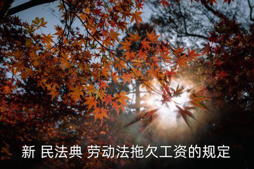 民法典關(guān)于勞動法的具體內(nèi)容,勞動仲裁不予受理6個條件