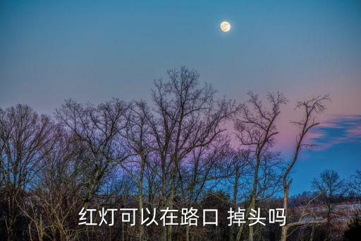 紅燈時(shí)可以掉頭嗎,左轉(zhuǎn)和調(diào)頭共用車(chē)道紅燈時(shí)可以掉頭嗎