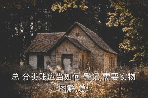 總分類賬怎么登記,管理費用總分類賬怎么登記